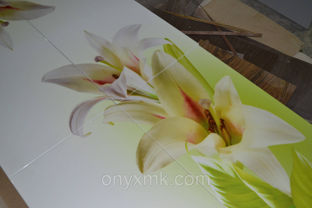 Фотодрук на МДФ фасадах під лаком, фото 1