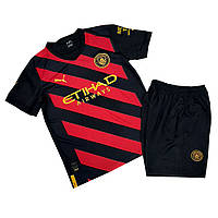 Футбольна форма Манчестер Сіті сезон 22-23 г L