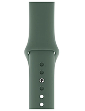 Ремінець Sport Band Apple Watch 38/40 mm Pine Green (Size S)