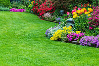 Насіння Газонна трава " Сімейний сад" 1 кг низькорослі трави для ландшафтного дизайну та озеленення