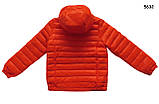 Демісезонна куртка для дівчинки. 130, 150 см, фото 3