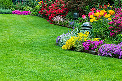 Насіння Газонна трава " Сімейний сад" 5 кг низькорослі трави для ландшафтного дизайну та озеленення
