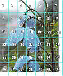 (Електронна)Схема для вишивки "Гімалайські блакитні маки", фото 2