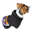 Худі для стильних собак WEB розмір M, фото 2