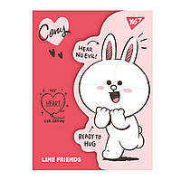 Папка-органайзер YES А4 с клапаном на липучке Line Friends. Cony (492104)