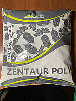 Буряк кормовий Центаур Полі 0,5 кг Польща білий Малопольський