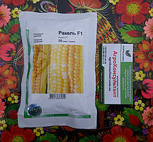 Насіння кукурудзи РАКЕЛЬ F1 / RAKEL F1 (Clause), 50 грам -  ранньостигла (72–75 днів) цукрова кукурудза