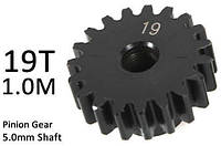 Team Magic M1.0 19T Pinion Gear for 5mm Shaft amc