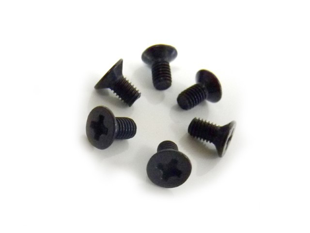 Flat Head Screw 3X6 6P