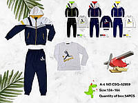 Трикотажный костюм 3 в 1 для мальчика оптом, Seagull, 134-164 см, № CSQ-52859
