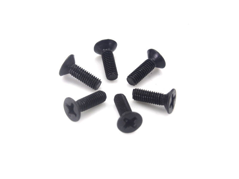 Flat Head Screws 3X10 6P