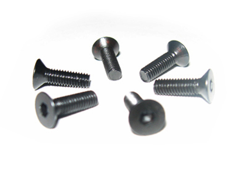 3*10 Flat Head Screws 6P