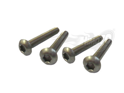 Bind Head Titanium Screw 3X10Mm 4P