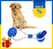 Іграшка для собак інтерактивна Smt канат на присосці з м'ячем