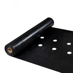 Плівка 30 мкм 1.20м* 1000м плівка чорна для мульчування перфорована