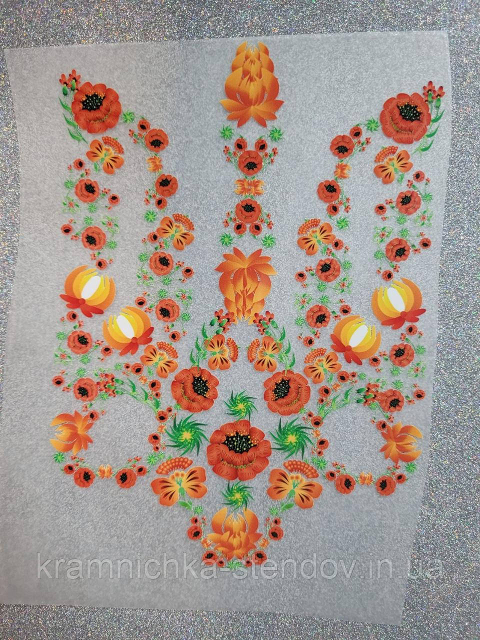 Термонаклейка на одяг, фото 1