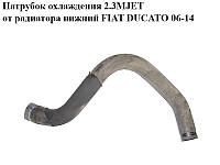 Патрубок охлаждения 2.3MJET от радиатора нижний FIAT DUCATO 06-14 (ФИАТ ДУКАТО) (1342722080)