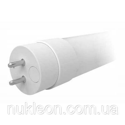 Популярний! Лампочка ELM T8 (19-0003) — найкраща якість тільки на Nukleon.com.ua, фото 1