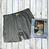 Чоловічі труси сімейні DoReMi Туреччина, бавовна 100%, розмір  50-52 (5), фото 4