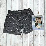 Чоловічі труси сімейні DoReMi Туреччина, бавовна 100%, розмір  50-52 (5), фото 5