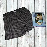 Чоловічі труси сімейні DoReMi Туреччина, бавовна 100%, розмір  50-52 (5), фото 6