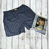 Чоловічі труси сімейні DoReMi Туреччина, бавовна 100%, розмір  50-52 (5), фото 8