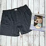 Чоловічі труси сімейні DoReMi Туреччина, бавовна 100%, розмір  50-52 (5), фото 9