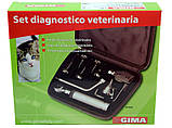 Ветеринарний набір GIMA отоскоп з дистанційною лінзою, офтальмоскоп, риноскопи , Італія, фото 2