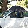 Парасолька навпаки Wonderdry Compact Umbrella, Парасолька зворотного складання, Парасолька антиветер, фото 10