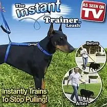 Повідець для собак The Instant Trainer leash понад 30 кг, Шлейка для великих собак, фото 5