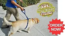 Повідець для собак The Instant Trainer leash понад 30 кг, Шлейка для великих собак, фото 6