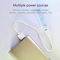 Лампа ультрафіолетова для засвітки полімера, фото 5