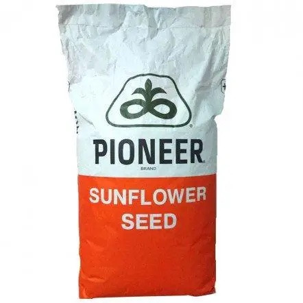 Піонер 66 PR64F66 США 2022, насіння соняшника Pioneer PR64F66