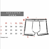 Боксерки puma труси пума, фото 8