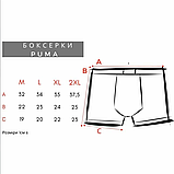 Боксерки puma труси пума, фото 7