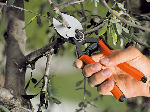 Секатор Stocker 383 італійський з подвійним різальним лезом кований 19 см - Штокер 383, фото 3
