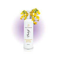 Шампунь жирної шкіри голови для чоловіків 250 мл Bishoff