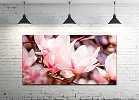Картина на полотні на стіну для інтер`єру/спальні/прихожої DK Квіти магнолії (DKP4560-c558) 50х100 см