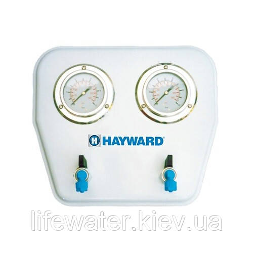 Hayward Манометр здвоєний Hayward MP25.B (210350025000)