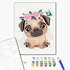 Картина за номерами Brushme, Милий мопс 30х40 см, фото 2
