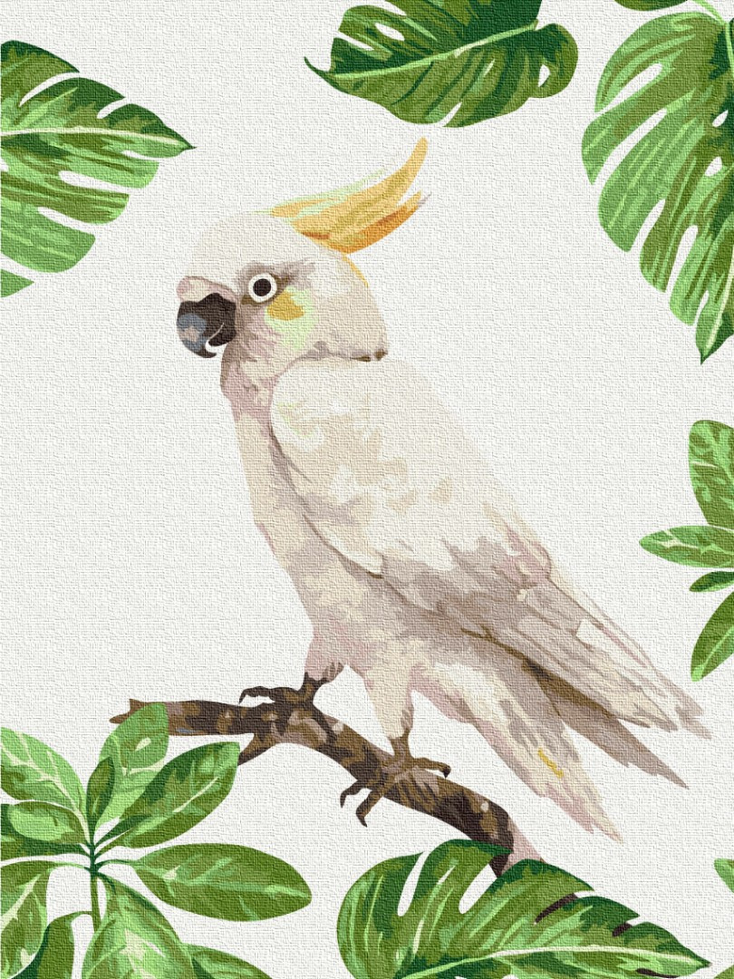 Картина за номерами Brushme, Білий какаду 30х40 см, фото 1