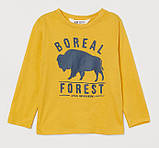 Дитяча кофта лонгслів H&M на хлопчика / 98-104 / 2-4, фото 2