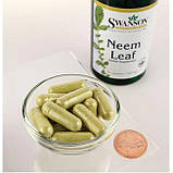 Очищення, імунна система Swanson Neem Leaf 500 мг 100 капсул, фото 3
