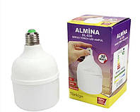 Лампа светодиодная с аккумулятором ALMINA 20W DL-020