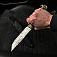 Ніж туристичний "Спартак" Gorillas BBQ із травленням KN5, фото 3