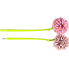 Ручка Півонія pencil flowers PF2, Ручка гелева Квітка, фото 10