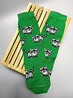 Носки прикольные женские с оригинальным принтом "Еноты" 1 пара 36-41 р веселые и яркие носки зеленого цвета