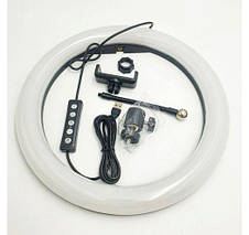 RGB лампа 33см MJ33 Кільцева Black (Уцінка), фото 2