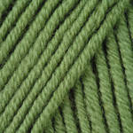 

Пряжа Yarnart Merino de luxe 50 098 ( Мерино де люкс 50) зеленый, Зелёный