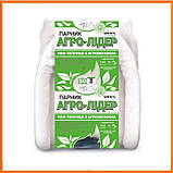 Парник 3 м 50 щільність "Агро-Лідер" міні парник для розсади, фото 2